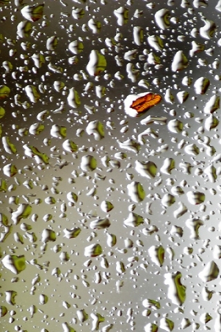 Wet Screen Effect Wallpaper