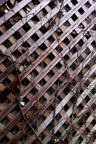 Wood Fence Wallpaper