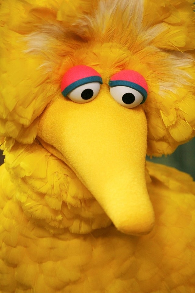 Big Bird Wallpaper