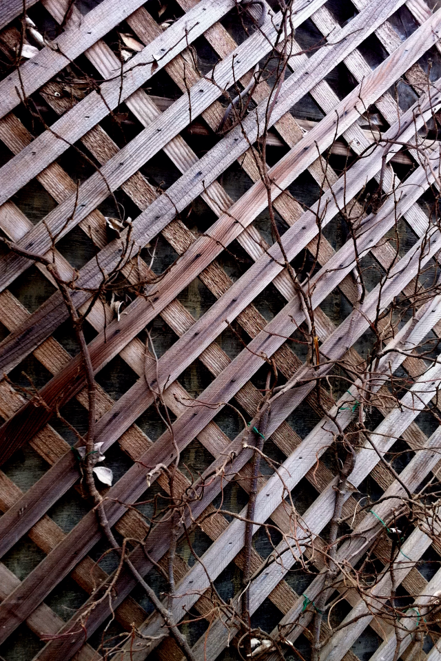Wood Fence Wallpaper